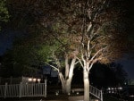 Exterior Landscape Lighting in Fishers Indiana