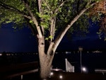 Landscape Lighting Designers Fishers, IN