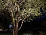 Landscape Lighting Design in Fishers, IN