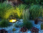 Landscaping with Lighting Near Fishers