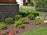 Installed Landscape Plants in Fishers