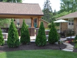 Landscape Plant Installation in Fishers