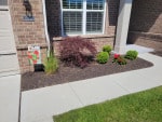 Expert Landscape Maintenance in Fishers, IN