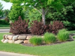 Well-maintained Landscaping in Fishers IN