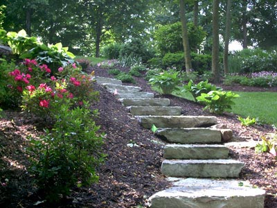 Landscape Maintenance Service Fishers