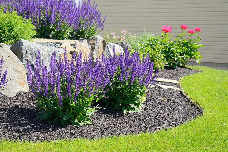 Give the Gift of Landscape Maintenance