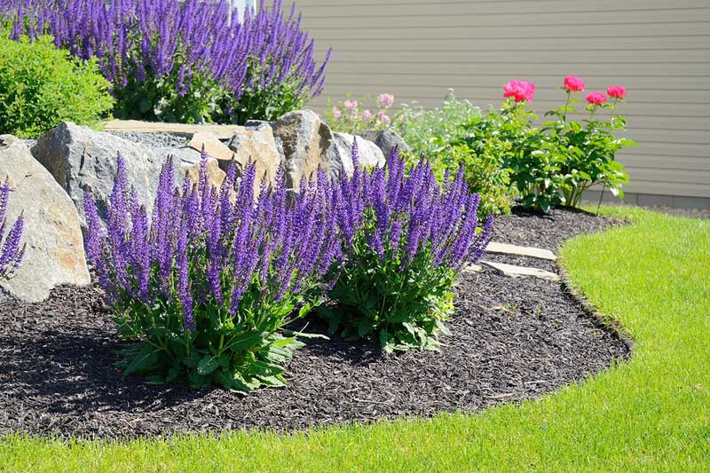 Landscape Maintenance in Fishers, IN