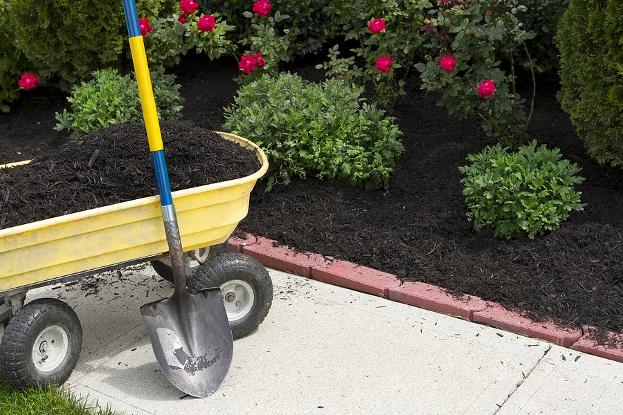 The Noll Landscape Group Fishers Landscape Maintenance