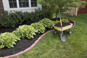 The Noll Landscape Group Fishers Professional Landscape Maintenance